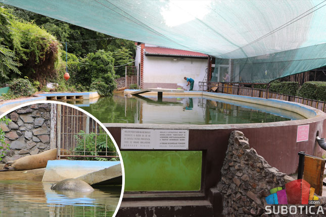 Usvojeno tridesetak stanovnika Zoo vrta