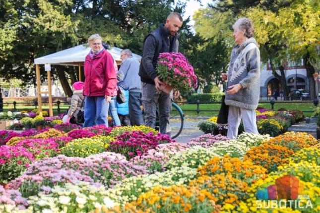 „Garden Flora“ ukrasila plato kod Plave fontane