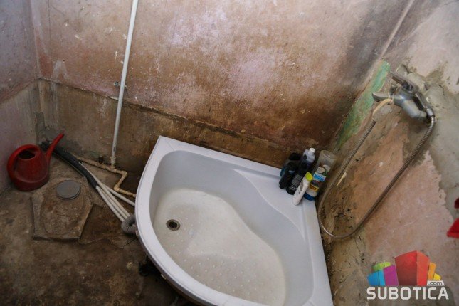 Porodici Šuranji nekada i mleko luksuz