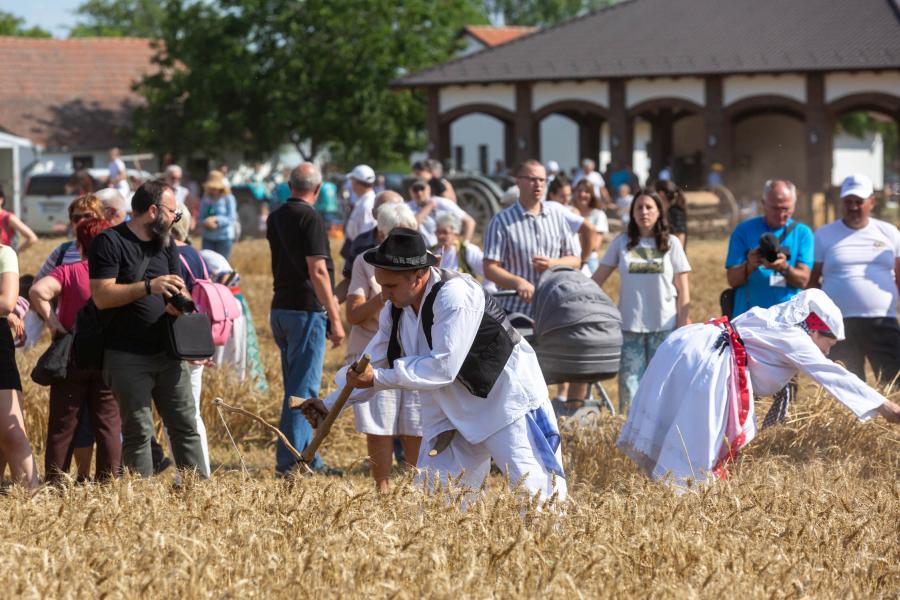 Najbolji risari pokazali umeće i sačuvali tradiciju na 59. Takmičenju risara u Đurđinu