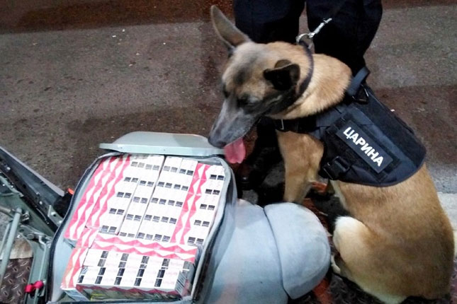 Carinskog psa njuh nepogrešivo odveo do krijumčarenih cigareta