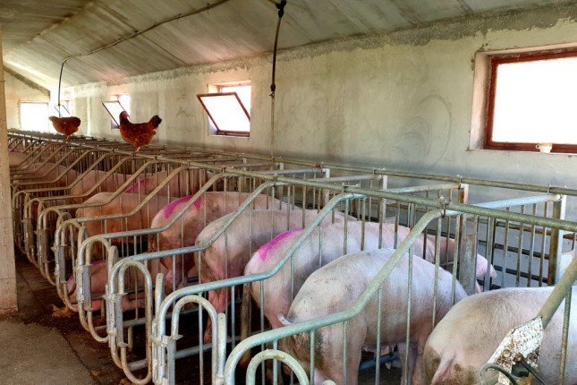 Gazdinstvo iz Bikova primer dobre prakse