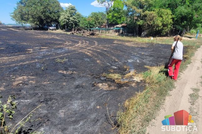 Požar na zemljištu na Palićkom putu lokalizovan, na površini od 70 hektara intervenisalo 13 vatrogasnih vozila