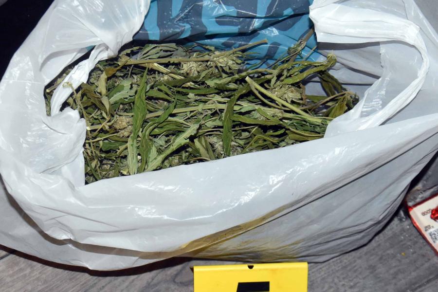 Uhapšen mladić osumnjičen za uzgajanje i prodaju marihuane