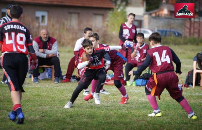 Američki fudbal: Nakon U15 selekcije, "Gorillas Subotica" državni prvak i sa U13
