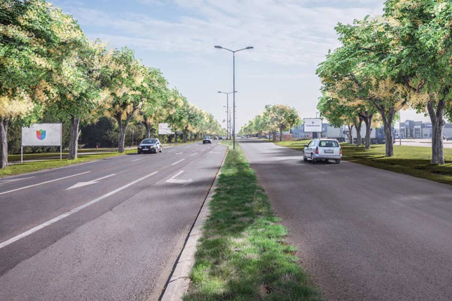 Krajem novembra pošumljavanje Segedinskog i Beogradskog puta, otvoren poziv za učešće kompanija