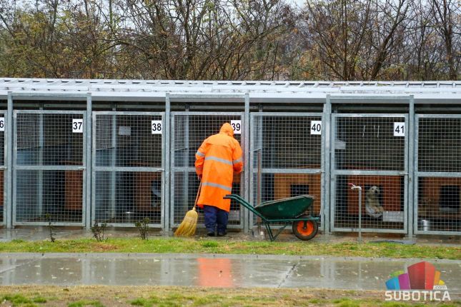 U prihvatilištu za pse zimsko vreme dočekuju 274 psa i četiri mačke