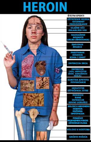 Društvo u krizi - narkotici i alkohol među mladima