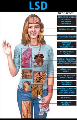 Društvo u krizi - narkotici i alkohol među mladima