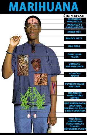 Društvo u krizi - narkotici i alkohol među mladima