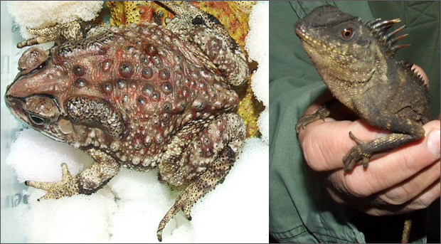 Egzotične životinje - ZOO Vrt Palić