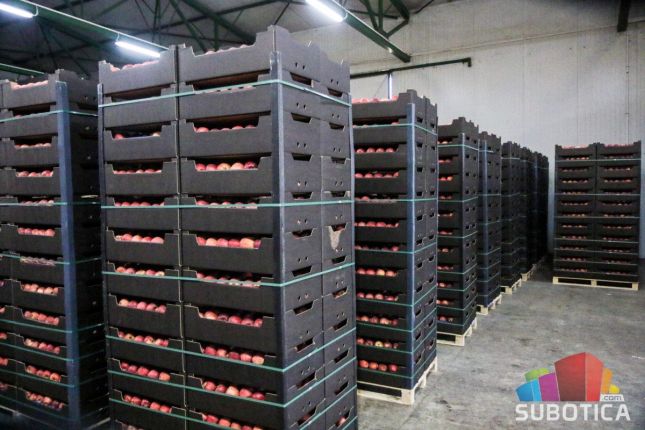 Voćari u problemu - dok se situacija ne stabilizuje jabuke za rusko tržište stoje u hladnjačama