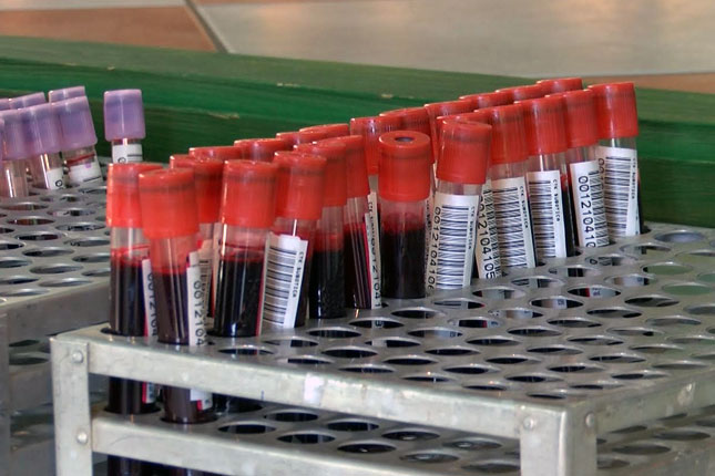 Održana akcija „Humani Božić“