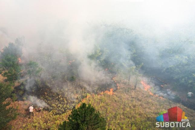 Posle dva časa intenzivne borbe vatrogasci obuzdali veliki požar u Radanovačkoj šumi
