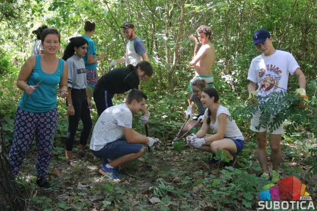 Volonteri iz celog sveta uređuju "Mini Jugoslaviju"