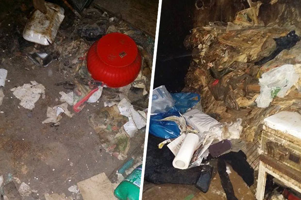 Udruženje "Anima" spasilo deset životinja iz jednog doma