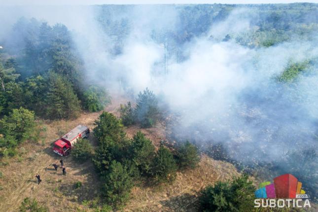 Požar u Radanovačkoj šumi gasilo 50-ak vatrogasaca, sa oko trideset vozila - dežurstvo trajalo do duboko u noć