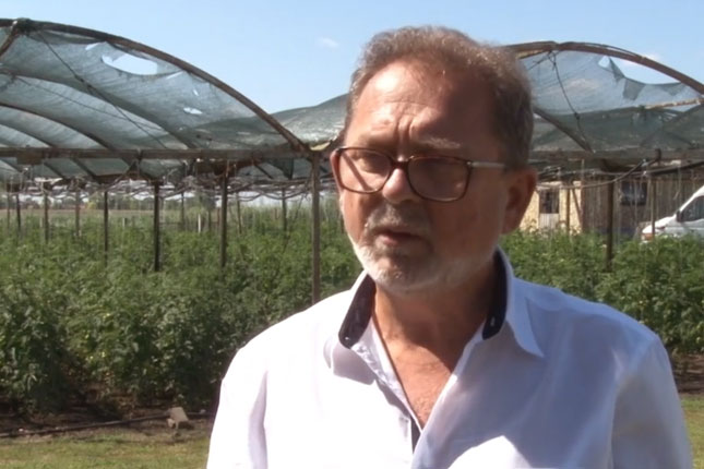 Njiva umesto zatvorske ćelije