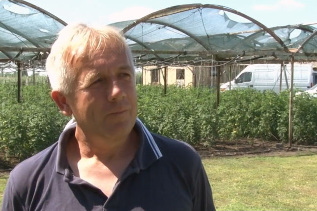 Njiva umesto zatvorske ćelije