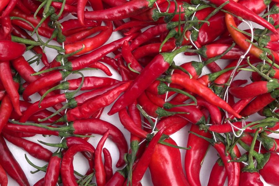 "Vatrena atmosfera" na petom Čili festivalu u Malom Radanovcu