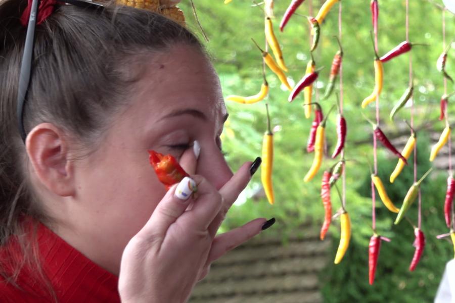 "Vatrena atmosfera" na petom Čili festivalu u Malom Radanovcu