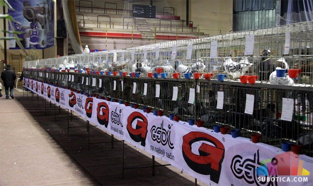 Nova sportska hala rešila bi probleme