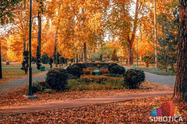 Rotvajler rastrgao psa na dečijem igralištu, vlasnici nameravaju da tuže Grad