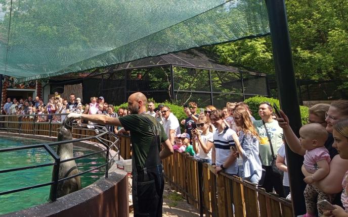 Radionica slikanja na otvorenom "Atelje u vrtu": posetioci naslikali dve slike