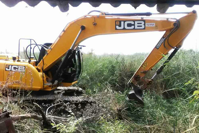 Deci iz Kolevke boravak u prirodi mnogo znači