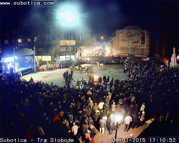 Održana tradicionalna seča badnjaka