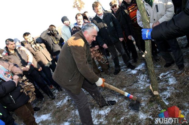 Održana tradicionalna seča badnjaka