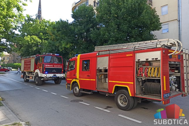 Požar na Prozivci, vatrogasci intervenisali sa četiri vozila