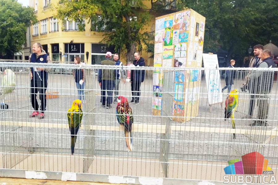 Obeležen Svetski dan životinja – tradicija, ljubav i nove generacije