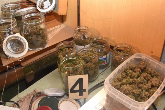 Uhapšeni osumnjičeni za uzgoj marihuane