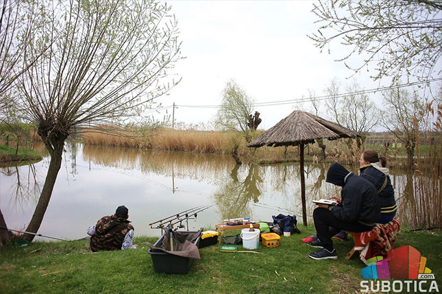 Praznične zanimacije na Majkinom salašu