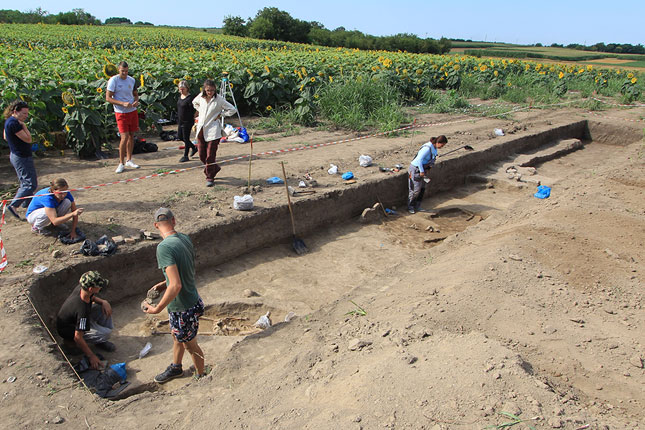 Na arheološkom nalazištu u blizini Feketića otkrivene kosti 16 individua