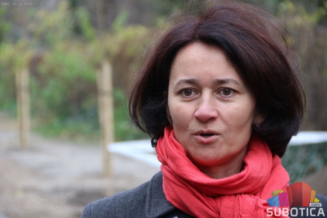 U Jezerskoj ulici zasađene nove sadnice klena i jasena