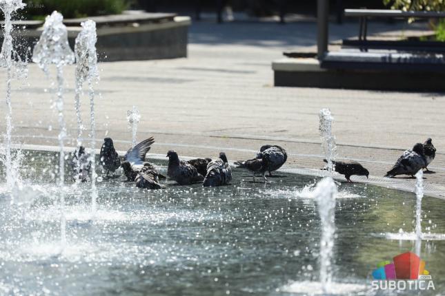 Visoke temperature i u narednih nedelju dana - šta aktivira Zakon o upravljanju vanrednim situacijama?