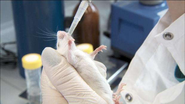 Ekološki dokumentarci na 21. Festivalu evropskog filma "Palić"