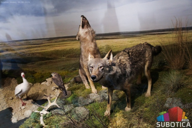 Od ledenog do savremenog doba kroz Severnu Bačku