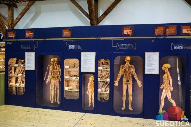 Od ledenog do savremenog doba kroz Severnu Bačku