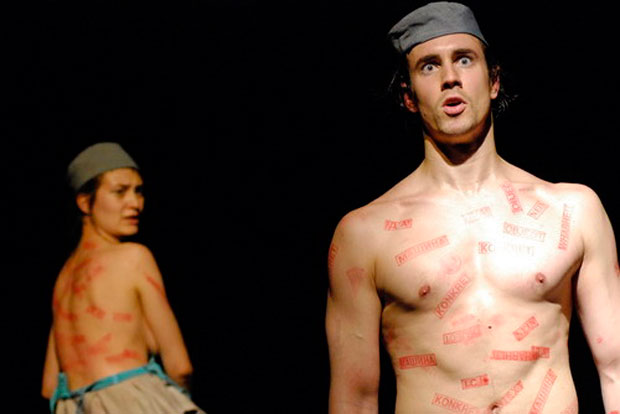 Ovacije iz Brazila za pozorište "Deže Kostolanji"