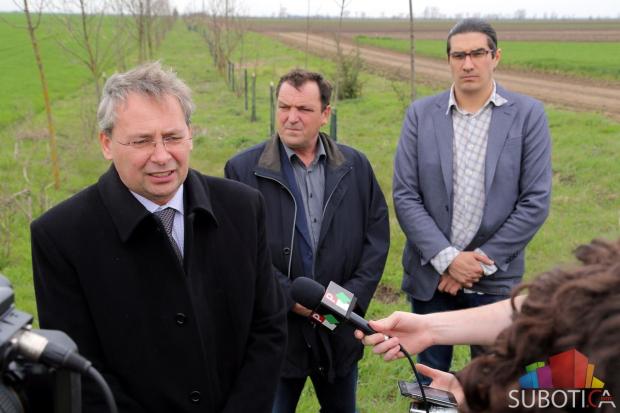 Gradonačelnik obišao radove na rekonstrukciji vetrozaštitnih pojaseva