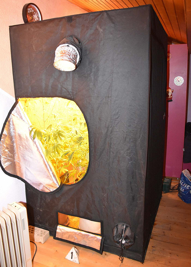 Otkrivena laboratorija za uzgoj marihuane, troje uhapšenih