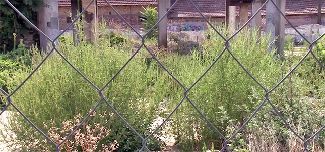 (Ne)održavanje javnih površina u Željezničkom naselju