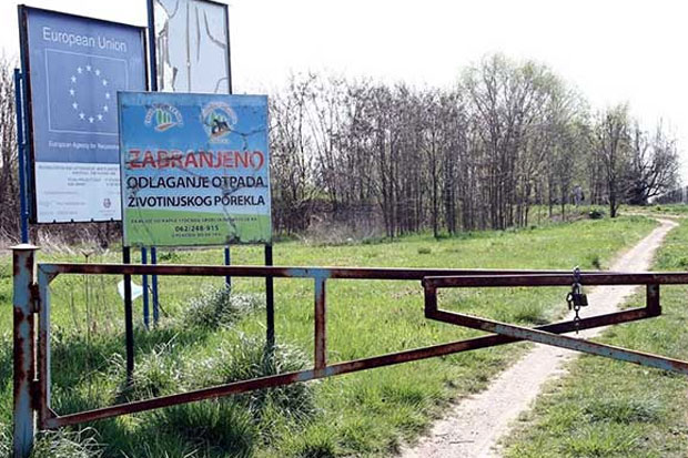 Privremeno stočno groblje trenutno kod prečistača