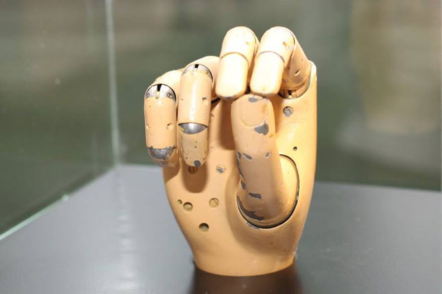 Svetska dostignuća u oblasti robotike stigla i do Subotice