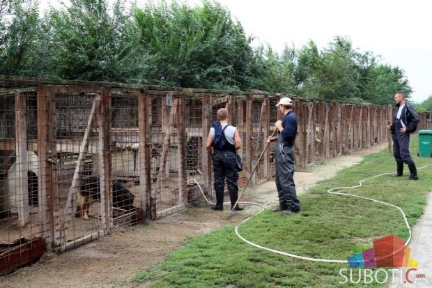 Da li je Azilu mesto u Ganjo šoru?
