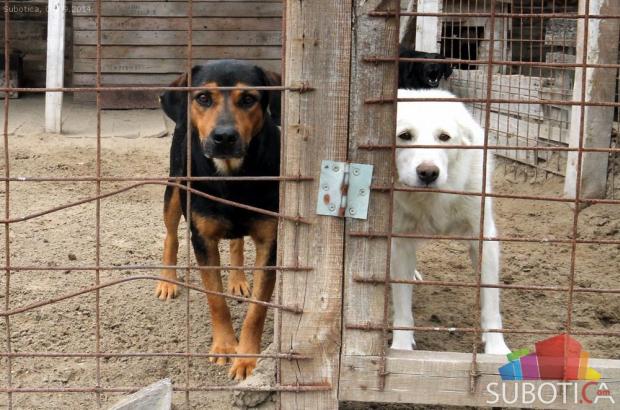 Da li je Azilu mesto u Ganjo šoru?