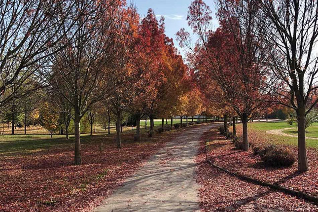 Bogat program na salašu "Đorđević" u susret uskršnjim i prvomajskim praznicima